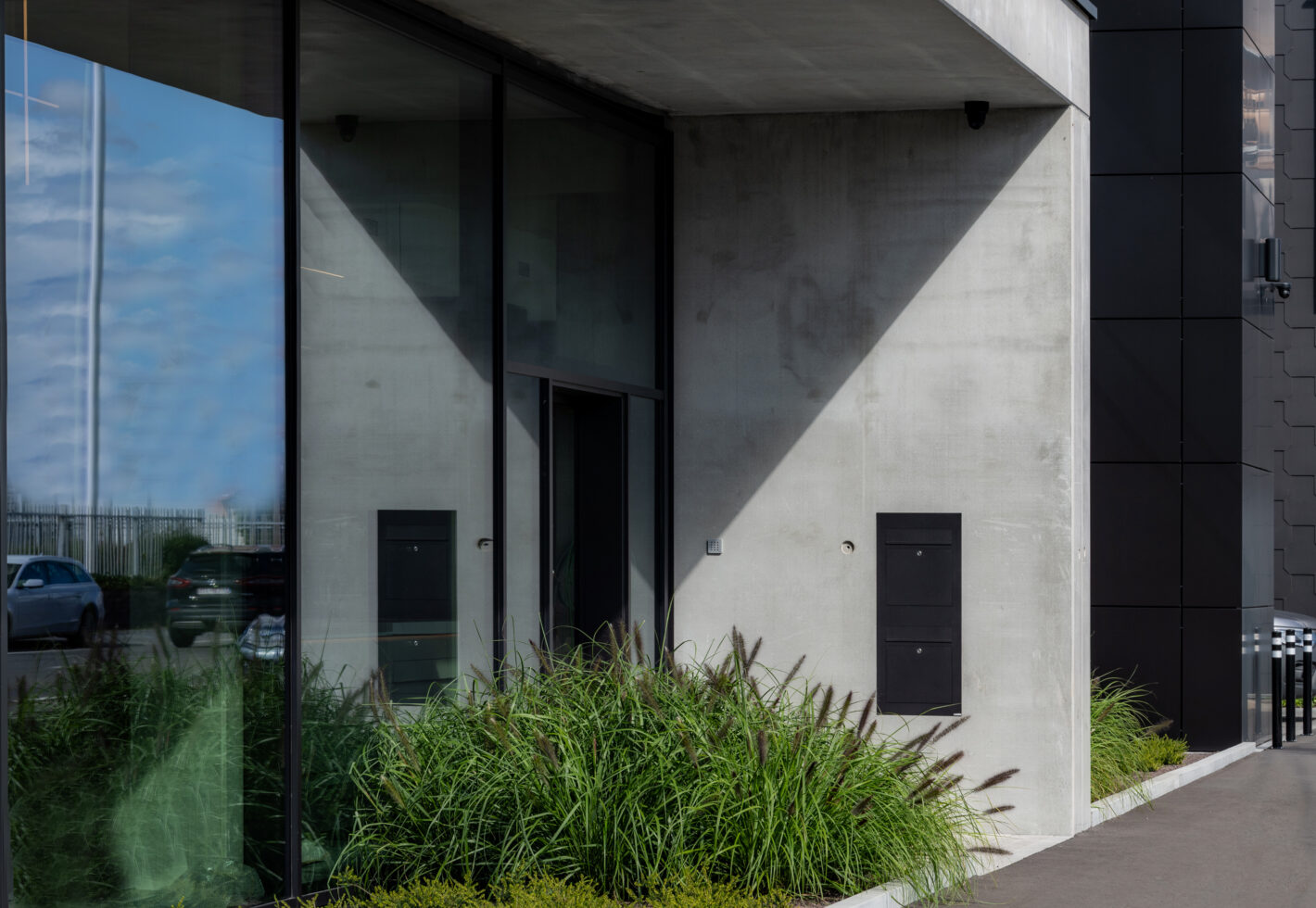 Caro constant 0154 copie